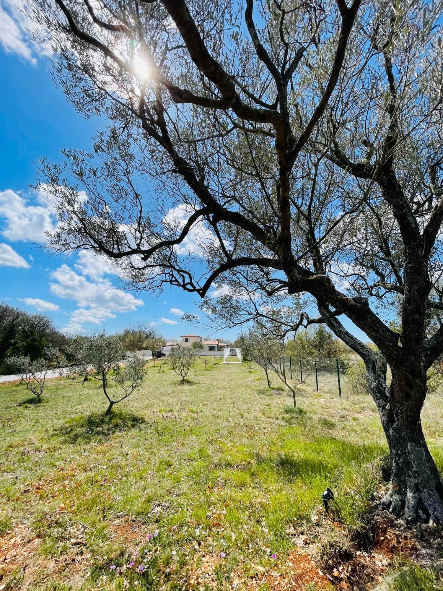 Luxury Villa In Istria - 9,000 Sqm Private Estate With Pool & Sauna, 15 Min To Sea, Near Fazana, 3 Bedrooms Jursici Exterior photo